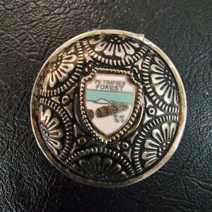 Vintage Petrified Forest Trinket Box Enamel Shield